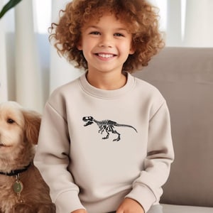 Trex Dinosaur Embroidery Kids Sweatshirt Animal Embroidery Children Jurassic Park Sweatshirt Dinosaur Mini Tyrannosaurus Rex Gift For Kids