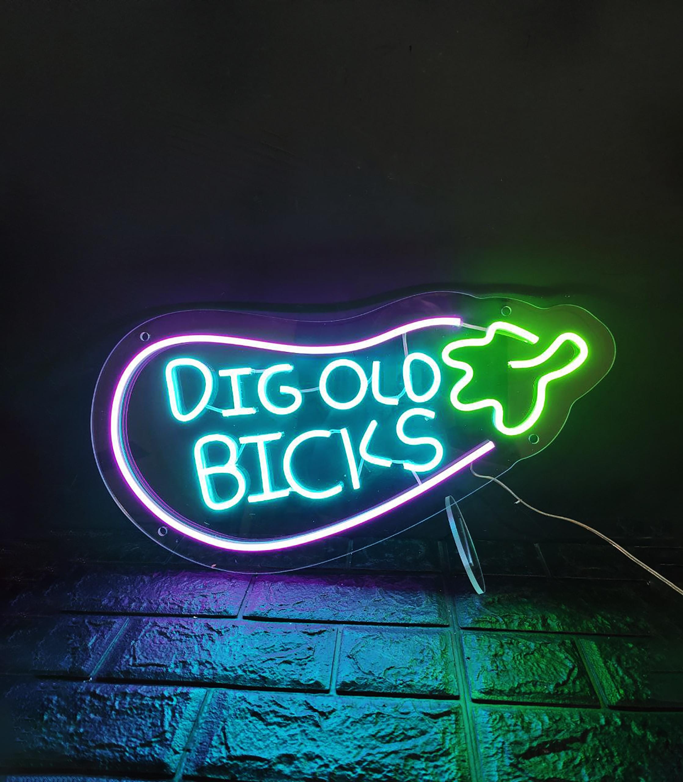 Dig Old Bicks Neon Sign, Fun LED Eggplant Sign, Light Up Sign, Cartoon Neon Sign, Room Wall Decor Custom Neon Light Sign, Dig Old Bicks Sign
