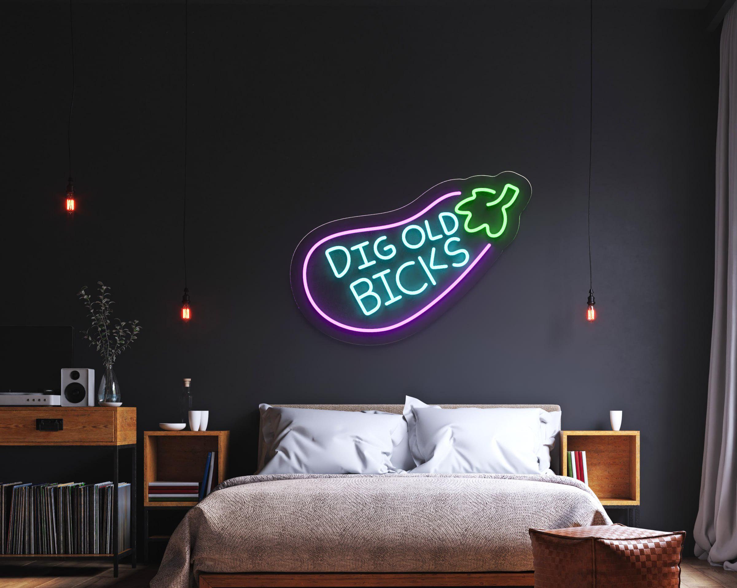 Dig Old Bicks Neon Sign, Fun LED Eggplant Sign, Light Up Sign, Cartoon Neon Sign, Room Wall Decor Custom Neon Light Sign, Dig Old Bicks Sign