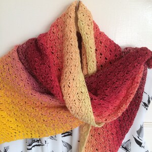 Two Sisters Shawl and Wrap crochet pattern, using Scheepjes Whirl image 5