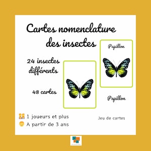 Flash Cards Insectes Cartes nomenclature jeu apprentissage vocabulaire Montessori IEF