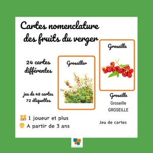 Flash Cards fruits du verger Cartes nomenclature jeu apprentissage vocabulaire Montessori IEF