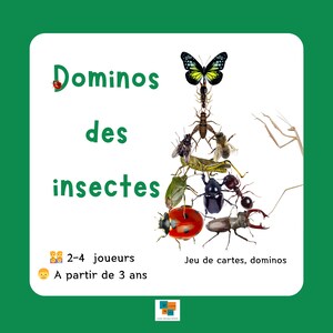 Dominos des Insectes jeu de cartes jeu apprentissage vocabulaire Montessori IEF maternelle