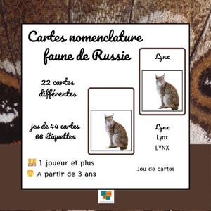 Flash Cards faune Russie Cartes nomenclature jeu apprentissage vocabulaire Montessori IEF