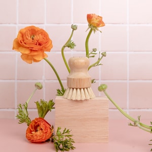 Natural Fiber Dish + Vegetable Brush - Plastic Free + Biodegradable