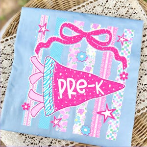 May include: Light blue t-shirt with a pink pennant that says "PRE-K". The pennant has a zebra print and is decorated with a pink bow, stars, and flowers. The background has vertical stripes in various patterns.
