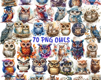 Watercolor Owl Clipart Bundle, Baby & Barn Owl Illustrations (70 PNG) (Digital Download)