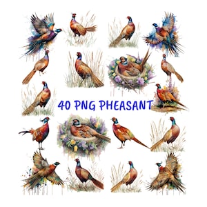 Paquete de imágenes prediseñadas digitales de faisán volando, imágenes prediseñadas de sublimación de aves en acuarela (PNG), impresión artística de faisán, imágenes prediseñadas de caza de faisán, imágenes prediseñadas de aves