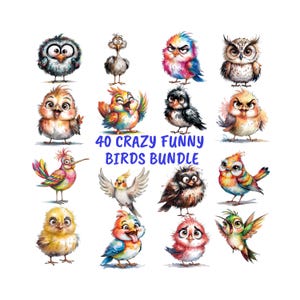 40 Cute Bird Clipart Bundle, Funny Watercolor Birds PNG, Whimsical Birds Clipart, Crazy Animal Clipart, Grumpy Bird Clipart, Cartoon Birds