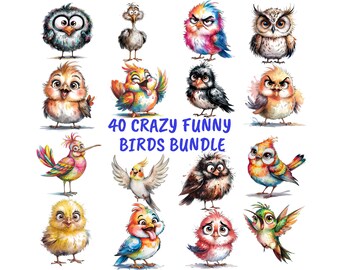 40 Watercolor Funny Bird Clipart, Whimsical PNG Bundle (Digital Download)