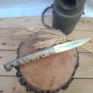 Traditional Sardinian Knife “Corrina” Model
