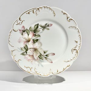 Pratos decorativos florais para almoço Haviland & Co. (conjunto de 2) - Limoges