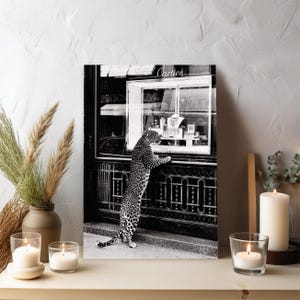 Panther im Jewelry Shop Print, Geparden Poster, schwarz-weiß, Vintage Fotografie, Fashion Print, 1950er Jahre, Wandkunst