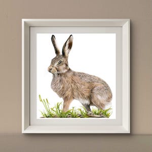 Stampa di lepre, belle arti, arredamento per la casa, arte murale, regalo naturalistico, stampa contemporanea, stampa opaca, regalo, stampa artistica, amante della natura, arte della fauna selvatica, arte di lepre.