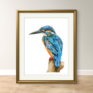 Stampa di martin pescatore, belle arti, arredamento per la casa, arte murale, regalo naturalistico, contemporaneo, stampa opaca, regalo, stampa artistica, amante della natura, arte naturalistica