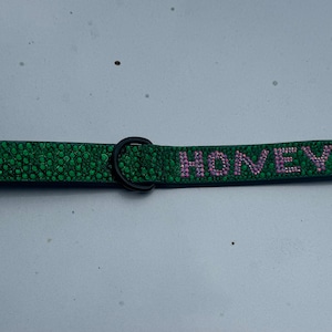 Bedazzled Dog Collar Custom with Pups Name