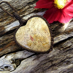 Agatized Coral necklace, agate necklace, heart necklace, flower agate jewelry, minimalist necklace, no metal necklace, agate for sale,