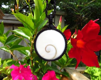 Shiva Eye Shell Protection necklace, Shiva Eye jewelry, Shiva Eye necklace, Beach accessories, Spiral necklace, Positive energy stone