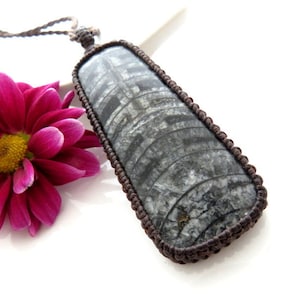 Orthoceras Fossil necklace, fathers day gift, orthoceras pendant, orthoceras for sale, fossil necklace, geology theme, rare fossil gemstone