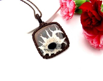 May include: A square pendant necklace with a brown cord. The pendant features a white and black fossilized sea creature encased in resin.