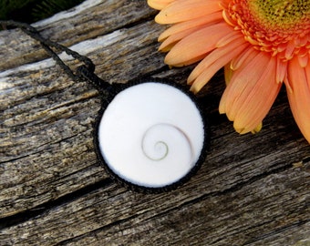 Shiva Eye Shell Protection necklace, Shiva Eye jewelry, Shiva Eye necklace, Beach accessories, Spiral necklace, Positive energy stone