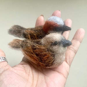 1 Needle Felted House Sparrow, Male Or Female MADE TO ORDER