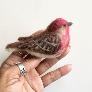 Needle Felted House Finch MADE TO ORDER