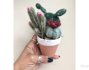 Needle Felted Assorted Cactus #2