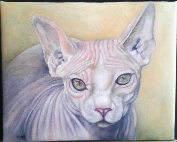 jeweled sphynx pet place