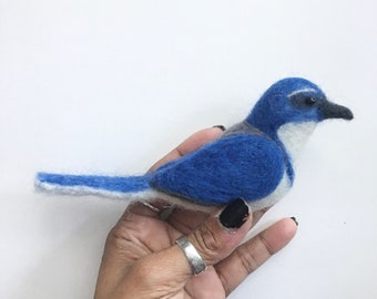 Needle Felted California Scrub Jay MADE TO ORDER