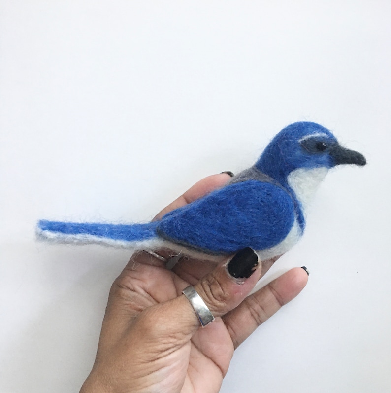 Needle Felted California Scrub Jay MADE TO ORDER image 1