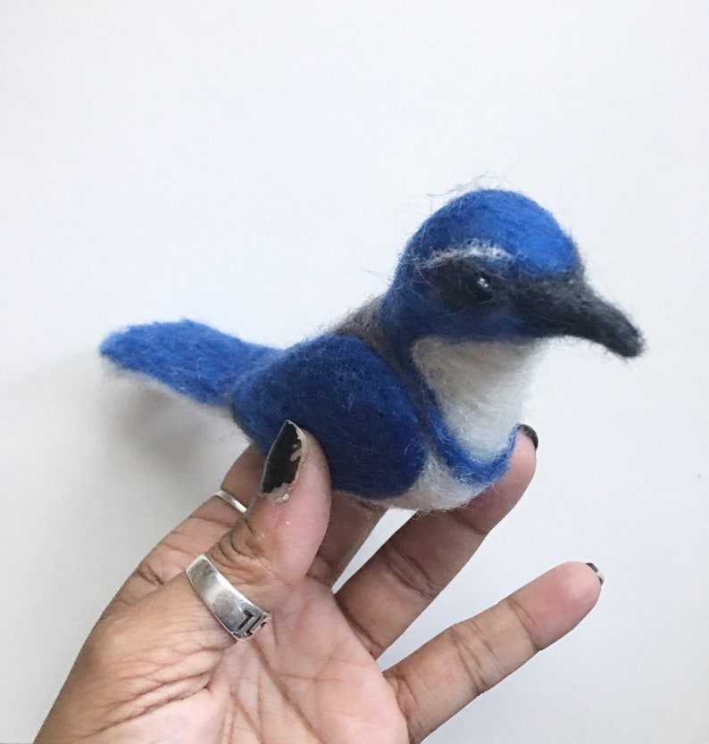 Needle Felted California Scrub Jay MADE TO ORDER image 2