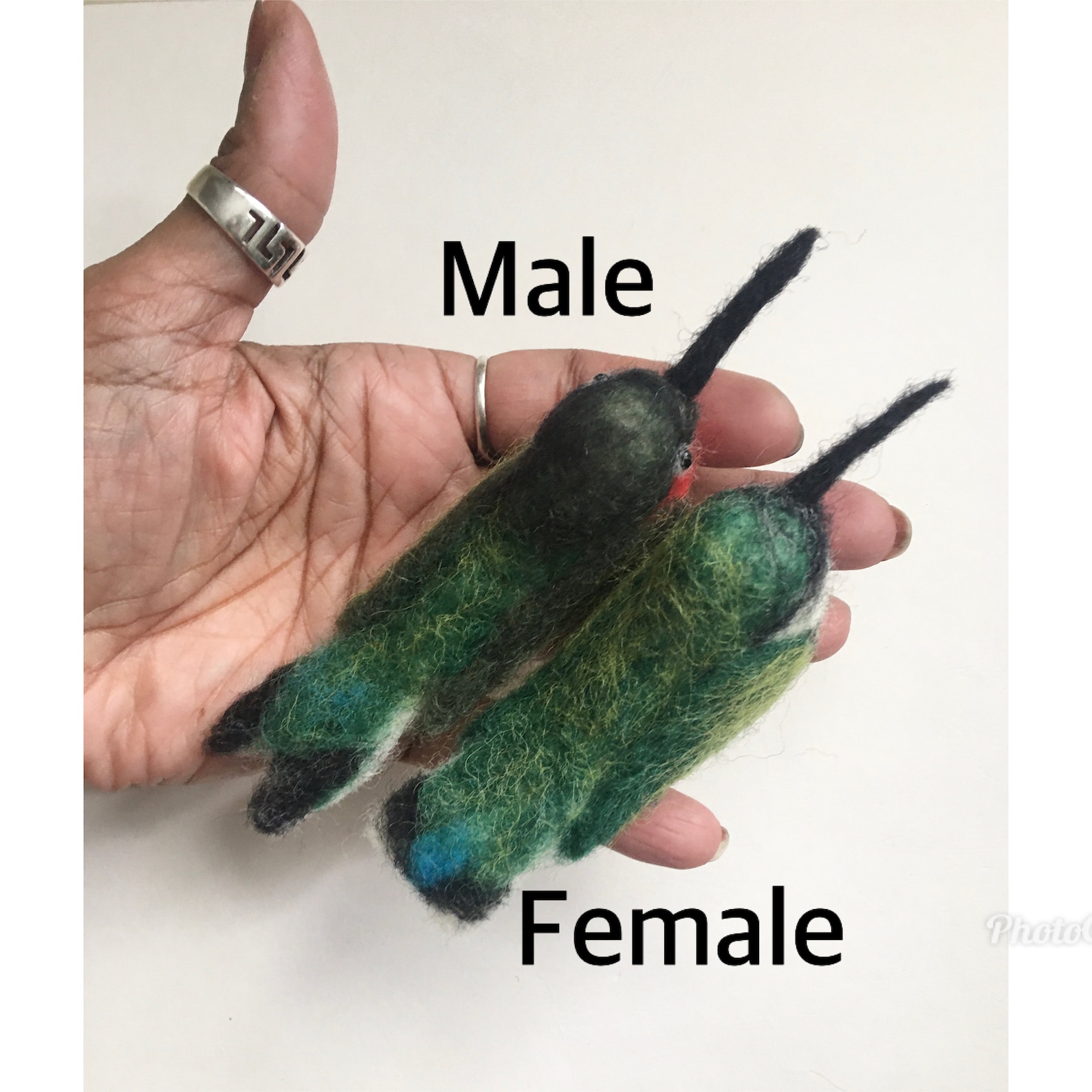 1 Needle Felted Ruby Throated Hummingbird, Male or Female, Legs ...