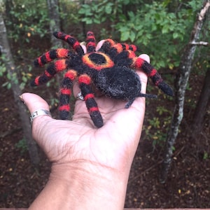 Needle Felted Red Knee Tarantula - Made to Order