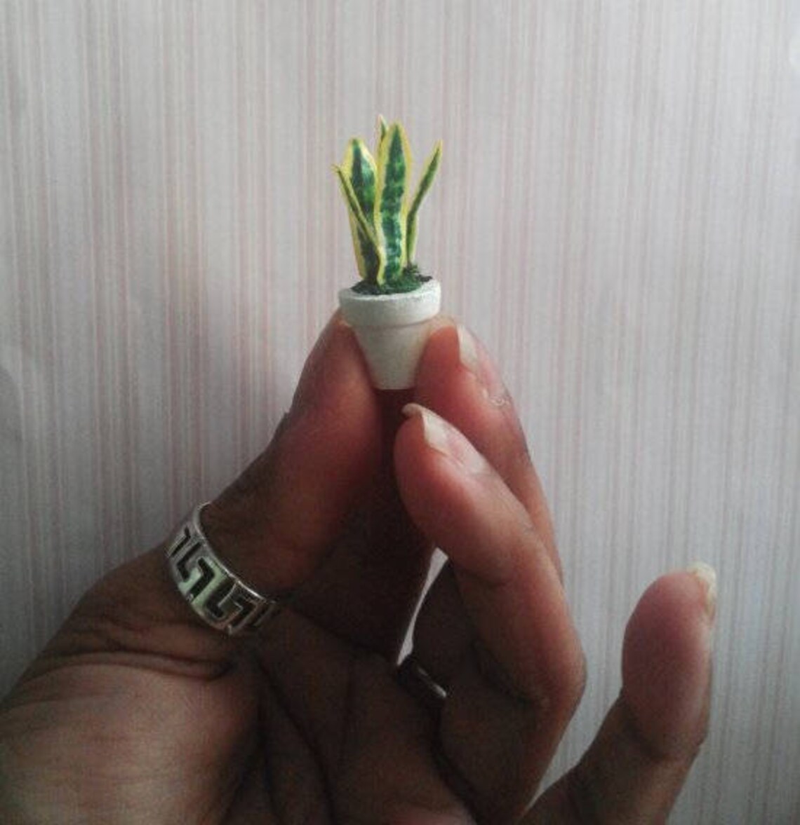 16 Scale Snake Plant in White Pot Etsy