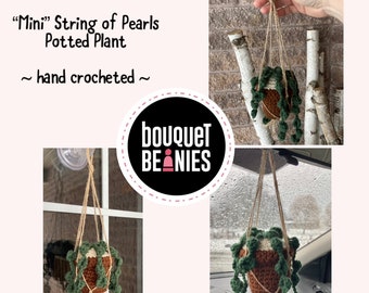 String of Pearls Plant, Crochet Plant Hanger, Rear View Mirror Accessories, Car Gifts, Gift for Her, Hanging Planter, Crochet Hanging Basket