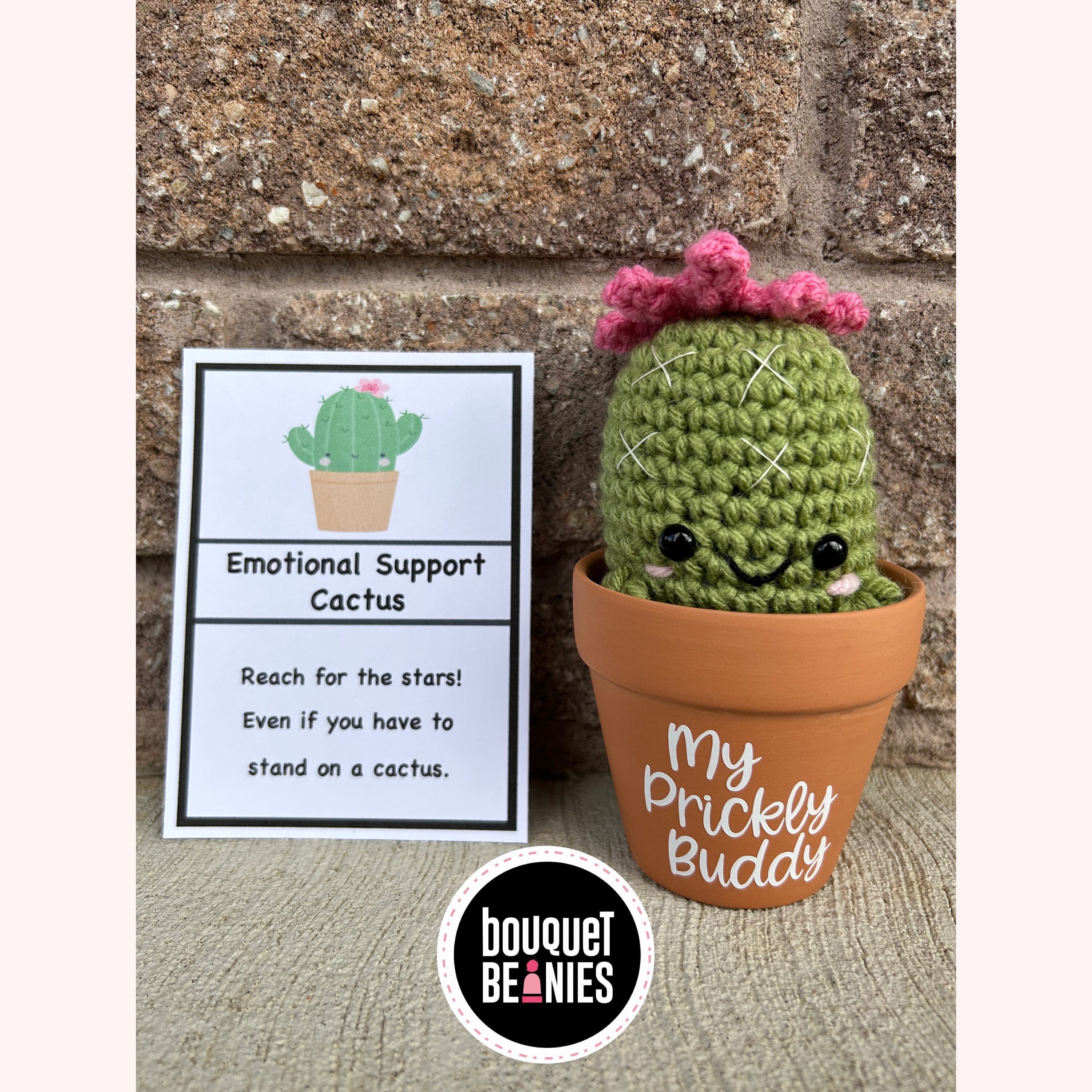 Emotional Support Cactus, Flower Pot, Plant Stuffed Animal, Coworker Gift,  Friend Gifts, Cactus Plant, Pick Me up Gift, Positive Affirmation - Etsy