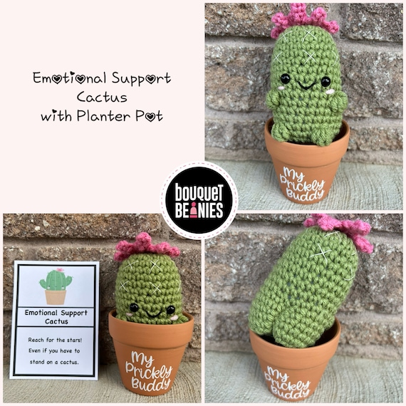 Emotional Support Cactus, Flower Pot, Plant Stuffed Animal, Coworker Gift,  Friend Gifts, Cactus Plant, Pick Me up Gift, Positive Affirmation - Etsy