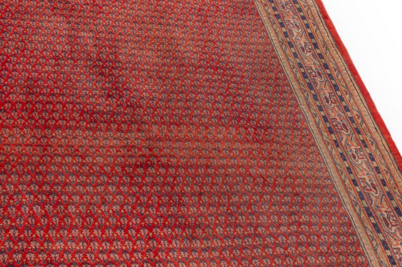 Puede incluir: Una alfombra oriental roja con un patr&oacute;n floral repetido. La alfombra tiene un borde detallado con acentos azules, beige y rojos. El dise&ntilde;o general es intrincado y tradicional, adecuado para la decoraci&oacute;n del hogar.