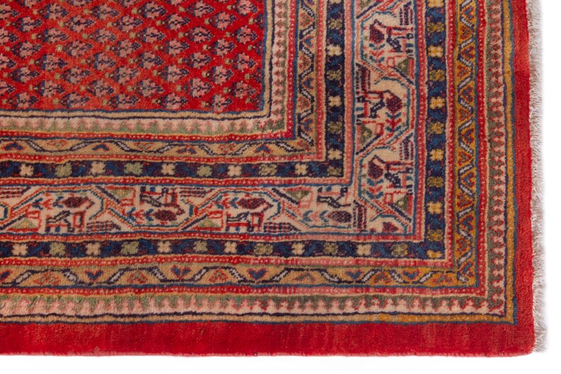 Puede incluir: Primer plano de una secci&oacute;n de una alfombra oriental roja y beige. La alfombra presenta intrincados patrones geom&eacute;tricos en tonos rojos, azules, beige y verdes. El borde tiene un dise&ntilde;o detallado y la alfombra tiene un borde con flecos.