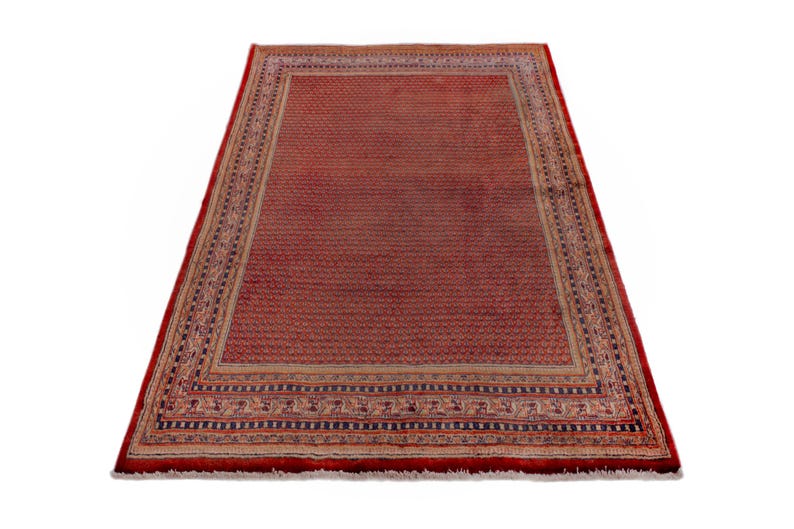 Puede incluir: Una alfombra rectangular roja con un patr&oacute;n detallado. La alfombra tiene un campo central de peque&ntilde;os motivos repetidos, enmarcado por un borde con dise&ntilde;os intrincados en beige, negro y rojo. Los bordes de la alfombra est&aacute;n acabados con flecos.