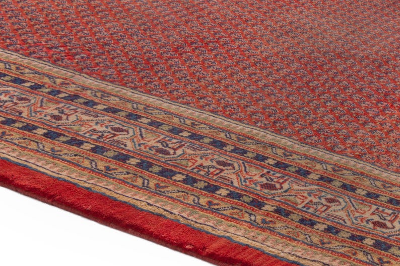 Puede incluir: Primer plano de una alfombra roja estampada con un borde detallado. La alfombra presenta un dise&ntilde;o floral repetido en tonos rojos y azules. El borde tiene patrones intrincados en beige, azul y rojo.