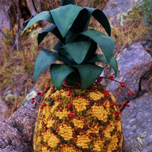 Rug Hooked Dimensional Pineapple E Pattern Hooking Realistic look
