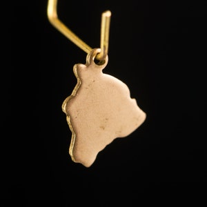 May include: Gold-colored earring with a small, irregular shaped charm. The charm is a solid piece of metal with a smooth surface.