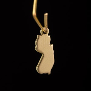 May include: A gold-colored pendant shaped like the state of New Jersey. The pendant is hanging from a gold-colored chain.