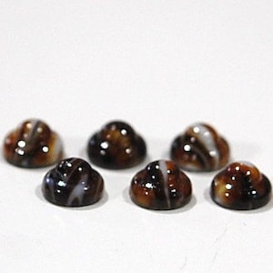 Könnte beinhalten: Sechs braune und weiße, gestreifte Cabochons mit gewölbter Form.