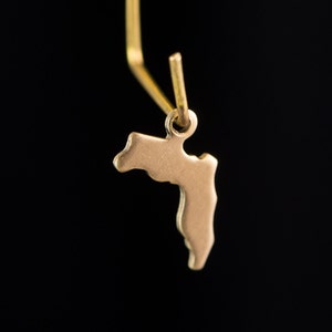 May include: Gold-colored pendant shaped like the state of Florida. The pendant is attached to a gold-colored chain.