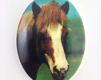 Puede incluir: Primer plano de la cabeza de un caballo marrón y blanco con un cielo azul y hierba verde en el fondo.