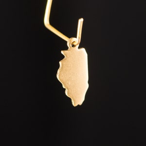 Raw Brass Illinois Blank State Charm Drops (6) chr228G