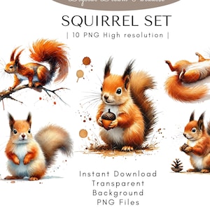 Squirrel Clipart Bundle with Transparent Backgrounds | 10 High Quality PNG Illustrations | Watercolor Style with Fluid Brushstrokes